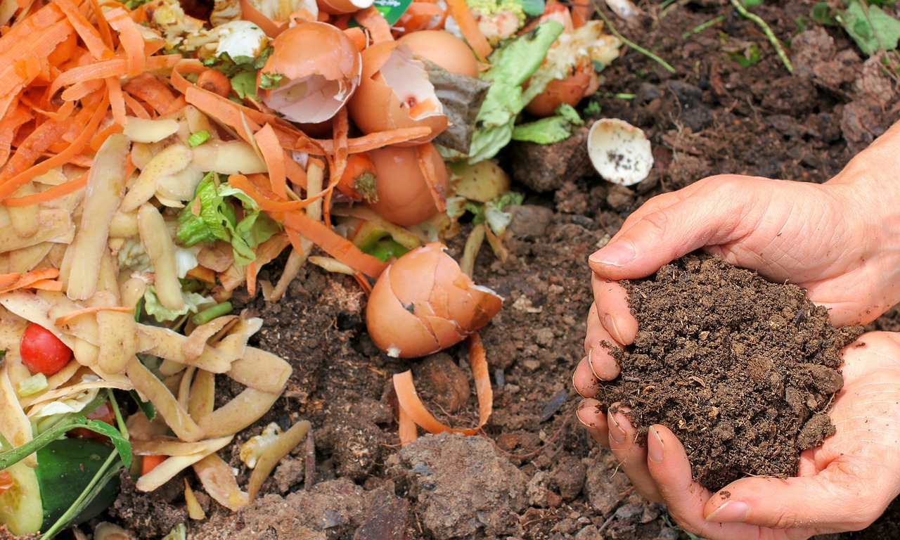 You are currently viewing L’utilisation du compost : Un guide pour un jardin écologique et florissant